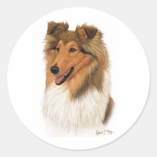 Sticker Rond Rough Collie