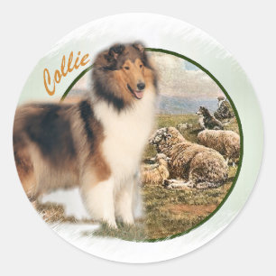 Sticker Rond Rough Collie Keeper of the Sheep