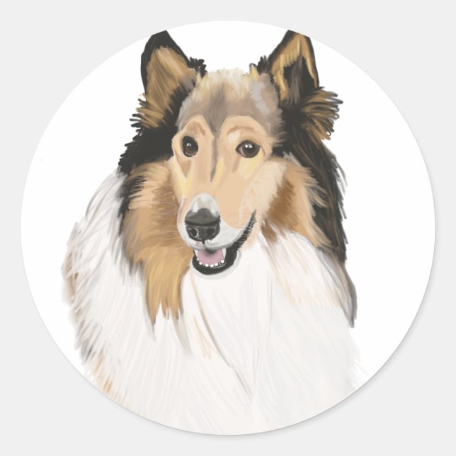 Sticker Rond Rough Collie, Long Haired Collie Portrait (Devant)