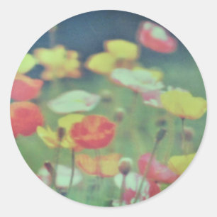 STICKER ROND ROULEAU D'AUTOCOLLANTS 