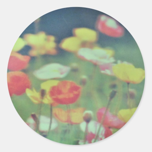 STICKER ROND ROULEAU D'AUTOCOLLANTS  (Devant)