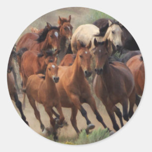 Sticker Rond Roundup des Chevaux sauvages
