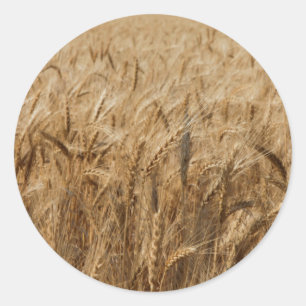 Sticker Rond Route 66