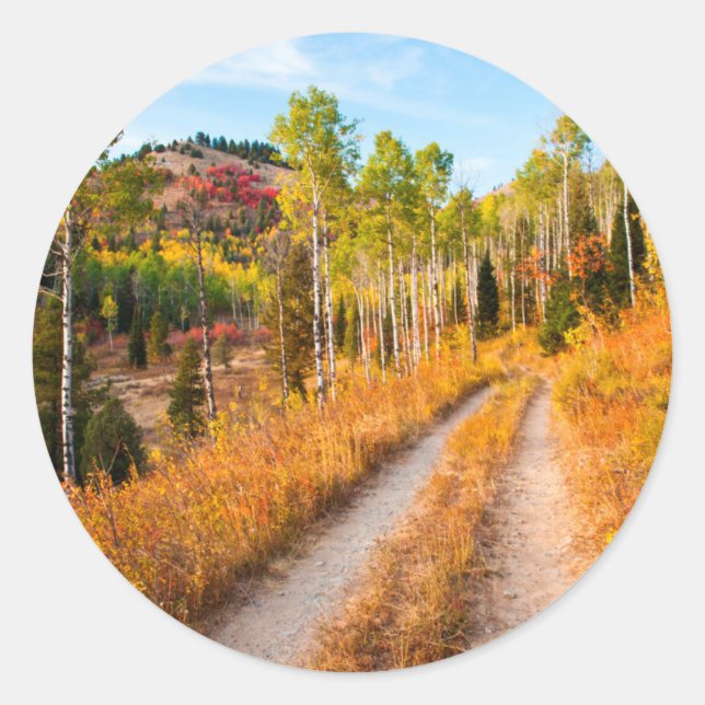 Sticker Rond Route à travers les couleurs d'automne (Devant)