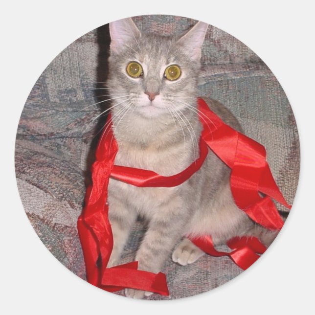 Sticker Rond Rubans (Devant)