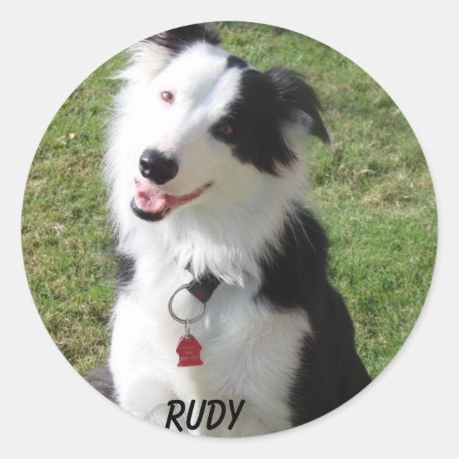 STICKER ROND RUDY (Devant)