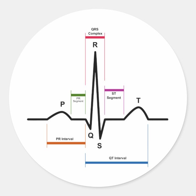 Sticker Rond Rythme sinus dans un diagramme ECG d'électrocardio (Devant)