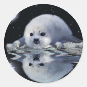 Sticker Rond S.O.S. Save Our Harp Seals Wildlife Supporter