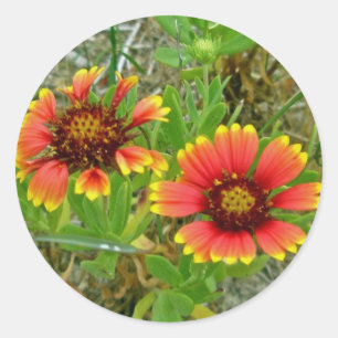 Sticker Rond Sac fourre-tout Fleur sauvage Gaillardia (Fleur Bl