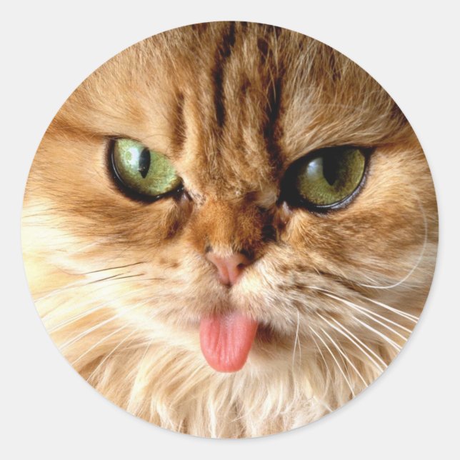 Sticker Rond Sachez-moi avec une cuillère (Devant)