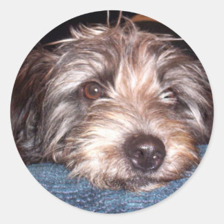 Sticker Rond Sadie