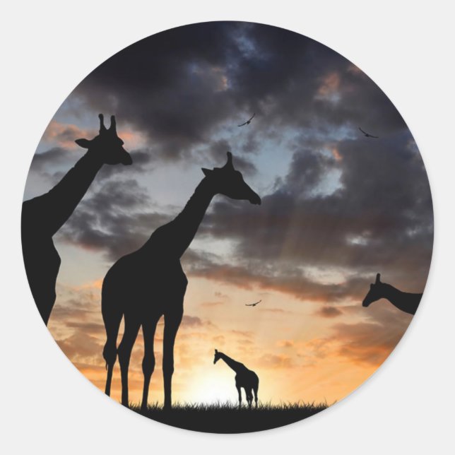 Sticker Rond safari au coucher du soleil girafe sauvage silhoue (Devant)