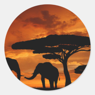 Sticker Rond Safari Baobab africain silhouette d'éléphant