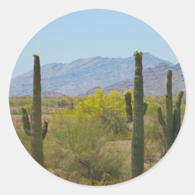 Sticker Rond Saguaro Cactus (Devant)
