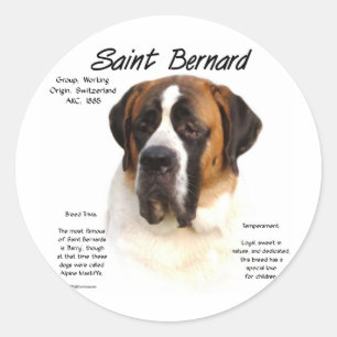 Sticker Rond Saint Bernard (lisse) Histoire Design