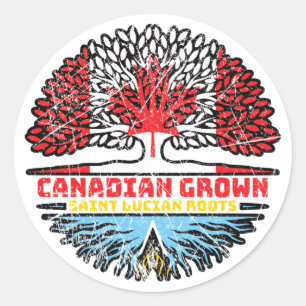 Sticker Rond Sainte-Lucie Sainte-Lucie Arbre canadien canadien