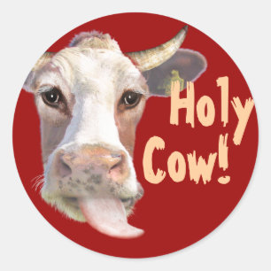 Sticker Rond Sainte vache !