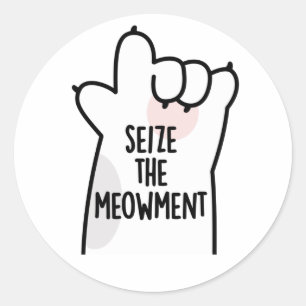 Sticker Rond Saisir Le Moment Positif Pun Chat
