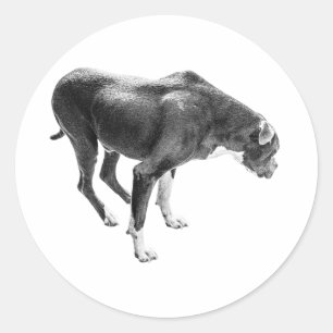 Sticker Rond Saison de loyauté