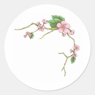 Sticker Rond Sakura Blossoms