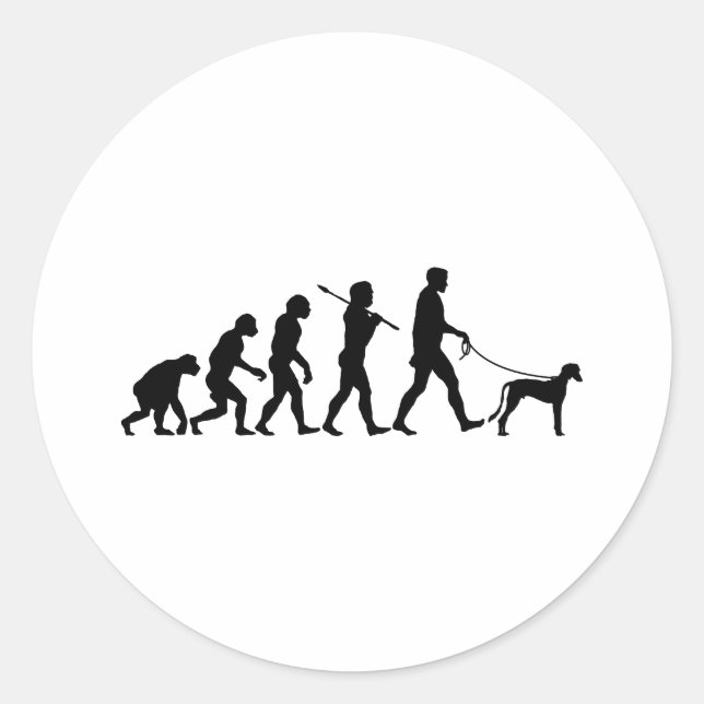 Sticker Rond Saluki (Devant)