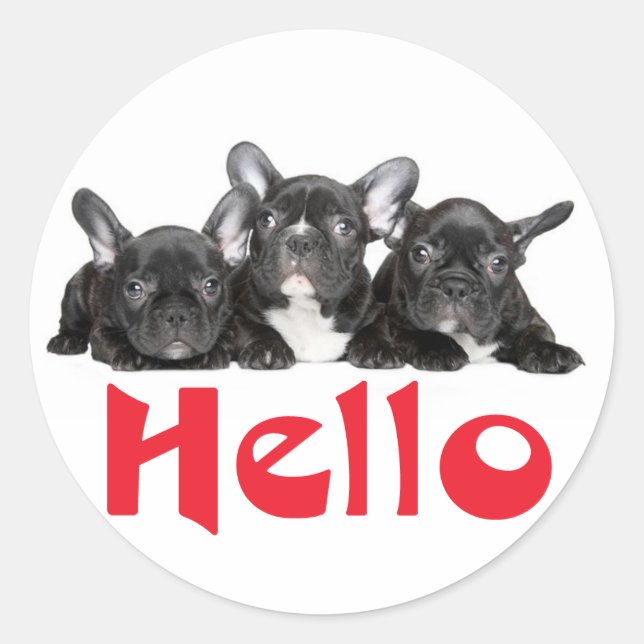 Sticker Rond Salut Black French Bulldog Chien Chien Chien Chien (Devant)