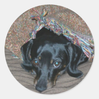 Sticker Rond Sammi sous la météo