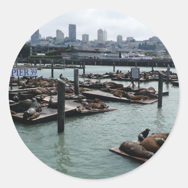 Sticker Rond San Francisco et Pier 39 Sea Lions City Skyline (Devant)
