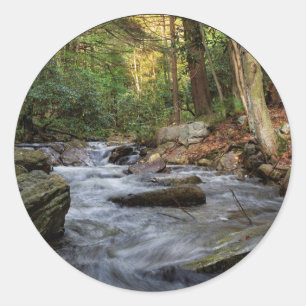 Sticker Rond Sand Spring Run, Hickory Run State Park