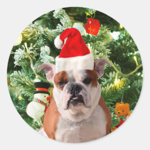 Sticker Rond Santa Hat Bulldog Christmas Tree Snowman boîte cad