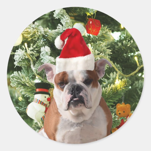 Sticker Rond Santa Hat Bulldog Christmas Tree Snowman boîte cad (Devant)