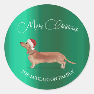 Sticker Rond Santa Hat Chien Tan Dachshund Vert Joyeux Noël