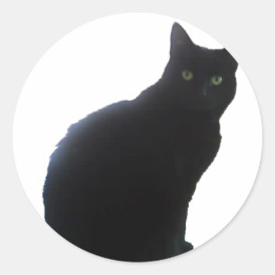 Sticker Rond Saule