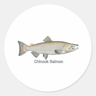 Sticker Rond Saumon Chinook (intitulé)