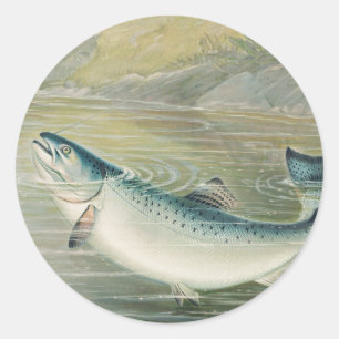 Sticker Rond Saumon de Californie par S.A. Kilbourne, Poisson V