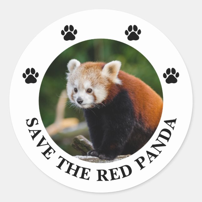 Sticker Rond Sauver le Panda roux (Devant)