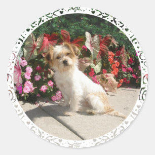 Sticker Rond Sauvetage de chien de race Terrier mixte