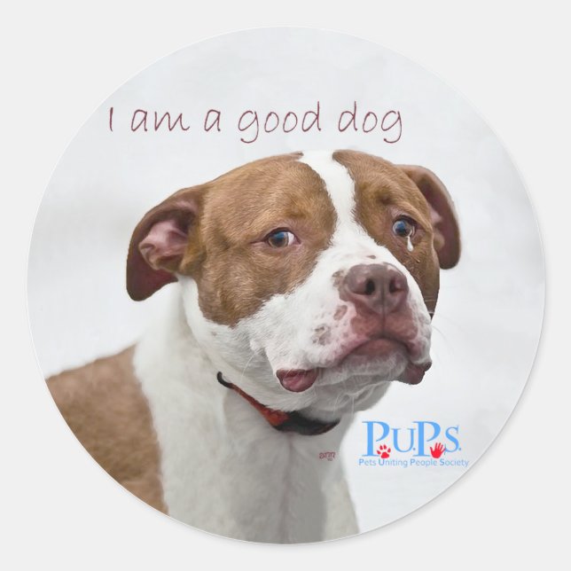 Sticker Rond Sauvetage des bons chiens Pit Bull (Devant)
