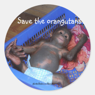 Sticker Rond Sauvez le bébé mignon d'orangs-outans