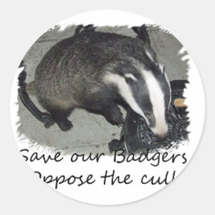 Sticker Rond Save British Badgers, s'opposer à l'abattage du bl