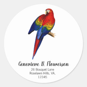 Sticker Rond Scarlet Macaw Tropical Colorful Pluie Forêt Oiseau