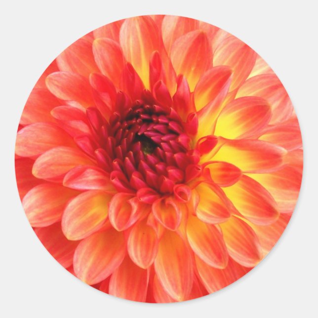 Sticker Rond Sceau 'Dahlia' (Devant)