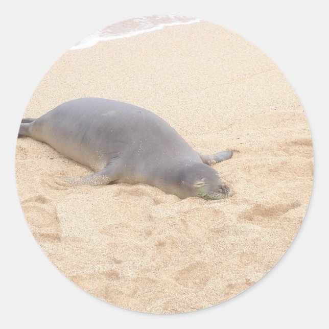 Sticker Rond Sceau de moine dormant seul sur la plage (Devant)