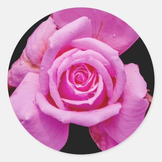 Sticker Rond Sceau de rose pour invitation de mariage élégant (Devant)