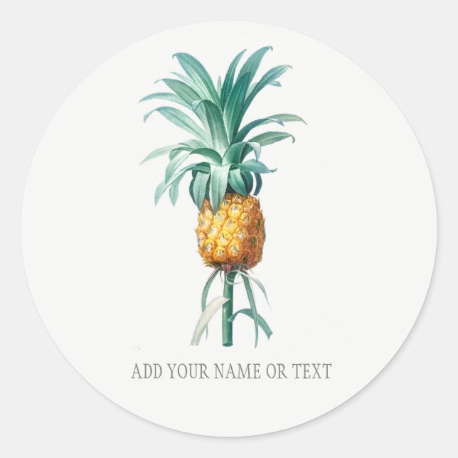 Sticker Rond SCEAU D'ENVELOPPE BOTANIQUE vintage AVEC ANANAS (Devant)