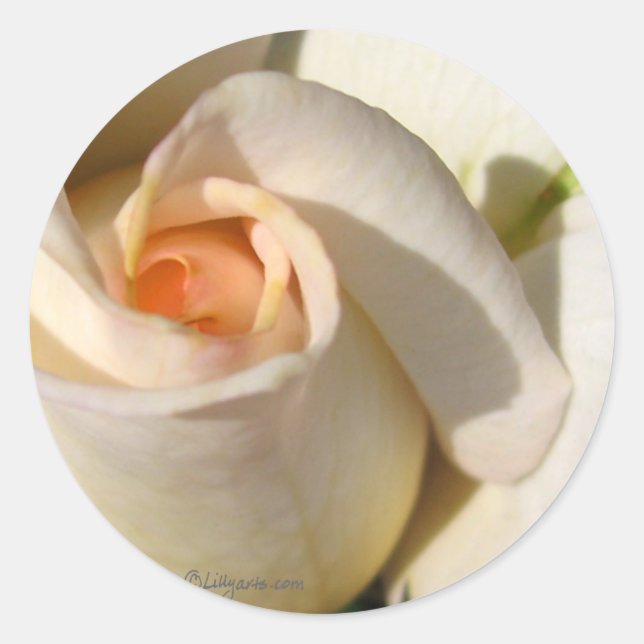 Sticker Rond Sceau d'enveloppe de Mariage de bourgeon rose (Devant)