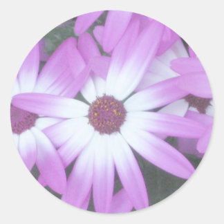 Sticker Rond Sceau d'enveloppe de Violet