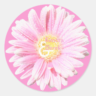 Sticker Rond Sceau d'enveloppe Gerbera rose (Arrière - plan fac
