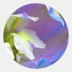 Sticker Rond Sceau Mariage Floral Bleu Et Violet
