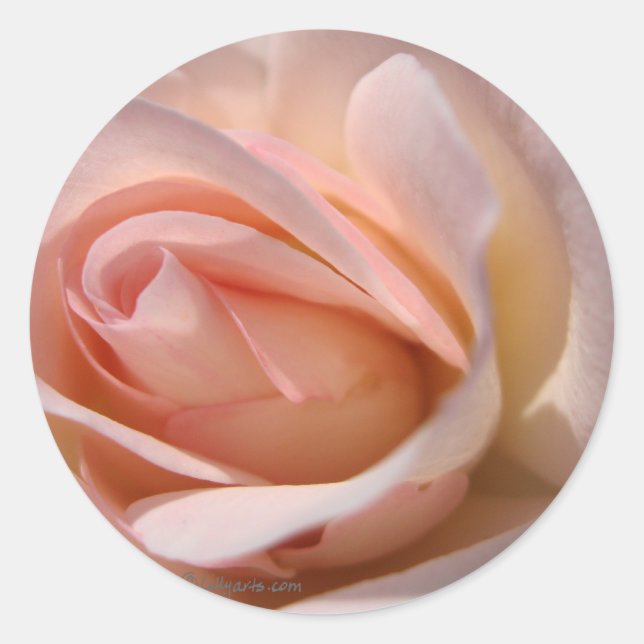 Sticker Rond Sceau rose Faire-part de mariage (Devant)